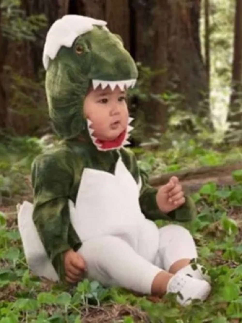 NWT Pottery Barn Kids Green T Rex Dino Egg Halloween Costume Baby Infant 0-6 mo